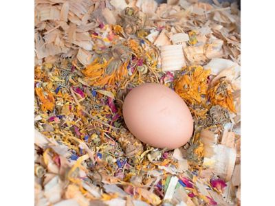 Image showing  Best Eggs Ever! Nesting Herbs for Pet Chickens, 4 lb.