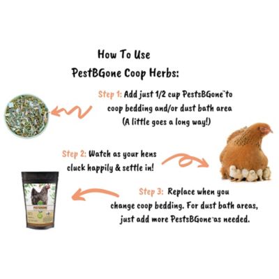 Image showing  PestsBgone Chicken Coop Herbs for Pet Chickens, 10 oz.