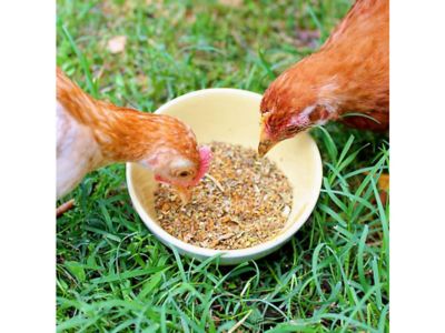 Image showing  BreatheRight Nesting and Coop Herbs for Pet Chickens, 10 oz.