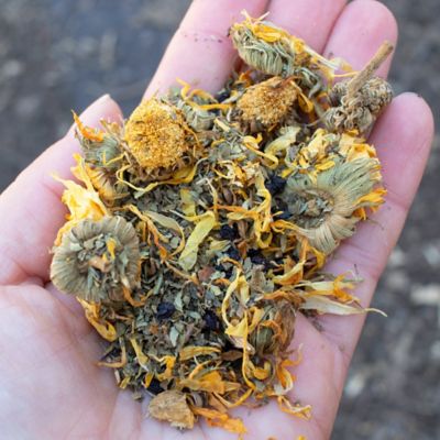 Image showing  StrongHen Nesting Herbs for Pet Chickens, 10 oz.