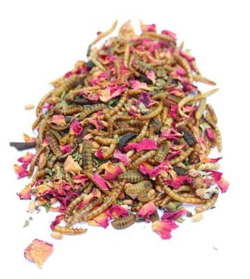 Pampered Chicken Mama Bee A Beautiful Hen Herbal Chicken Treats, 8 lb.