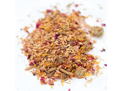 Image showing  PowerHen High Protein Poultry Treats