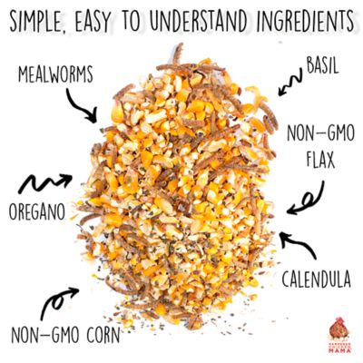 Image showing  Poultry Queen Non-GMO Mealworm Pet Chicken Treats, 10 lb.