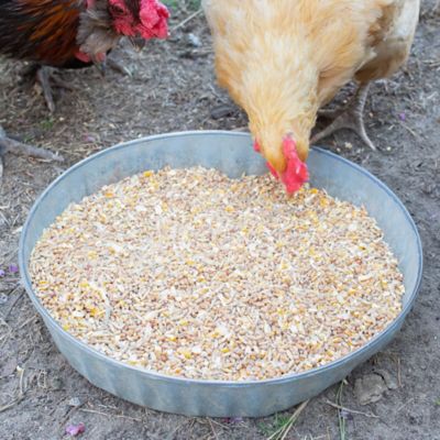 Image showing  Premium Scratch Poultry Feed with Herbs