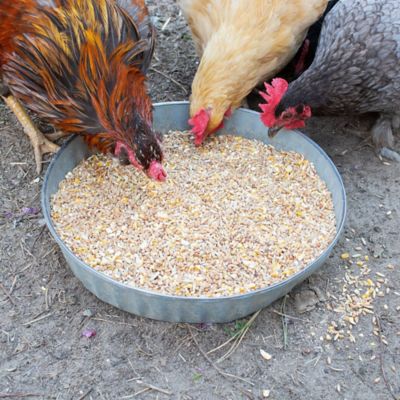 Image showing  Premium Scratch Poultry Feed with Herbs