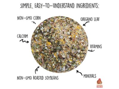 Image showing  Fluffiest Feathers Ever! Feather Treat for Pet Chickens