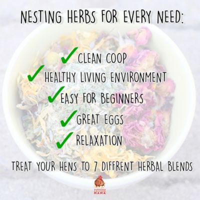 Image showing  Nesting Herb Starter Bundle, 7 Different Nesting and Coop Herbs, 3 lb.