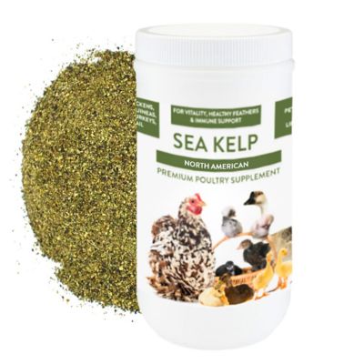 Image showing  Organic North Atlantic Sea Kelp for Pet Chickens & Ducks, 5 lb.