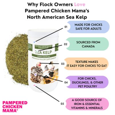 Image showing  Organic North Atlantic Sea Kelp for Pet Chickens & Ducks, 5 lb.