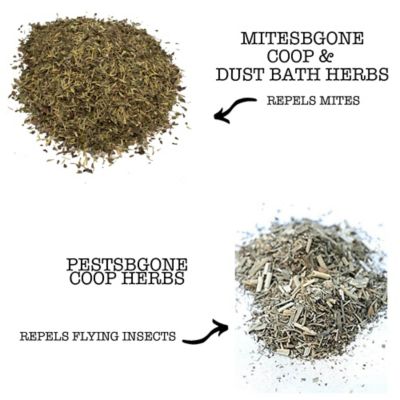 Image showing  MitesBGone and PestsBgone Bundle Chicken Nesting Herbs, 2 lb.