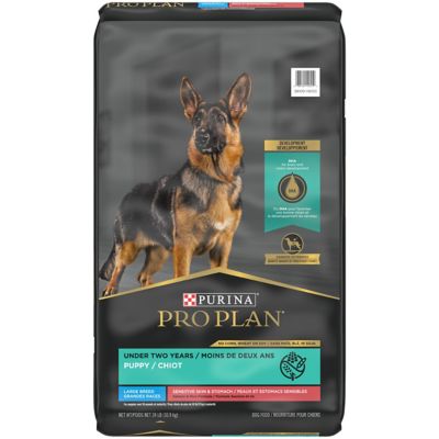Purina Pro Plan Sensitive Skin and Stomach Large Breed Puppy Food With Probiotics, Salmon & Rice Formula my puppy who is