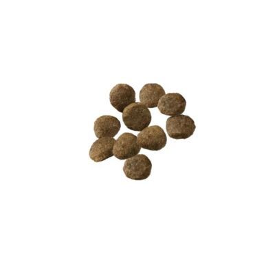 Image showing  Sensitive Skin and Stomach Large Breed Puppy Salmon and Rice Formula Dry Dog Food