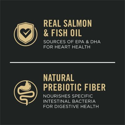 Image showing  Large Breed Puppy Sensitive Skin and Stomach Salmon and Rice Formula Dry Dog Food with Probiotics