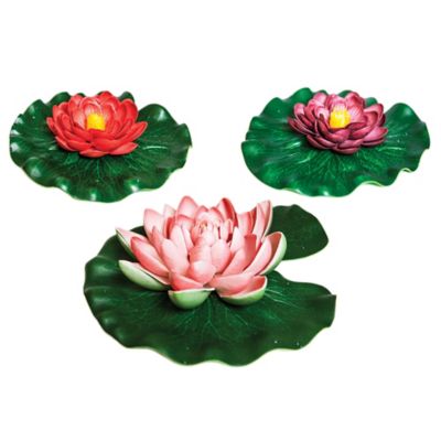 Pond Boss Floating Pond Lily Pad Variety Pack At Tractor Supply Co