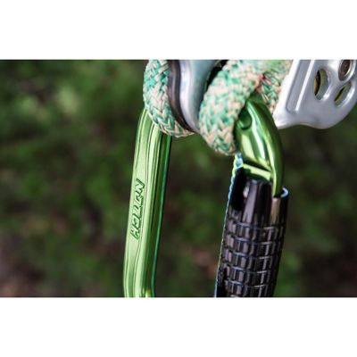 Image showing  Absolute Oval Aluminum Carabiner