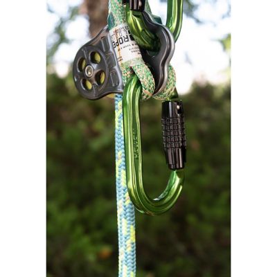 Image showing  Absolute Oval Aluminum Carabiner