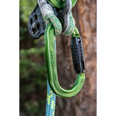 Image showing  Absolute Oval Aluminum Carabiner
