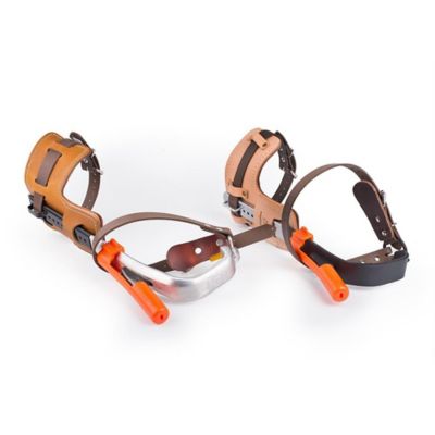 Image showing  Gaff Guardian II