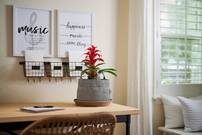 Image showing  2 gal. HDPE Fabric Grow Bags, Steel Grey, 3 pk.