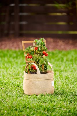 Image showing  2 gal. HDPE Fabric Grow Bags, Desert Sand, 5 pk.