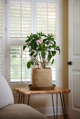 Image showing  5 gal. HDPE Fabric Grow Bags, Desert Sand, 5 pk.