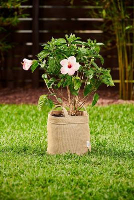 Image showing  2 gal., 5 gal., 10 gal. HDPE Fabric Combo Grow Bags, Desert Sand, 5 pk.