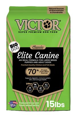 Image showing  Elite Canine Large Breed All Life Stages Chicken Recipe Dry Dog Food