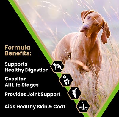 Image showing  Elite Canine Large Breed All Life Stages Chicken Recipe Dry Dog Food