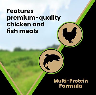 Image showing 5 th Victor Elite Canine Large Breed All Life Stages Chicken Recipe Dry Dog Food