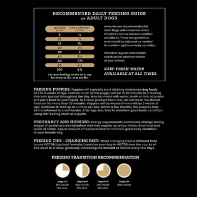 Image showing 8 th Victor Elite Canine Large Breed All Life Stages Chicken Recipe Dry Dog Food