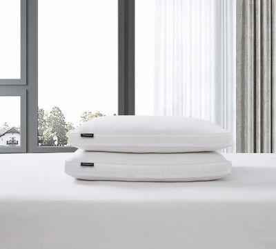 Beautyrest king outlet pillows