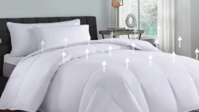 Image showing  Cotton Goose Feather and Down Comforter, All Seasons, 240 Thread Count