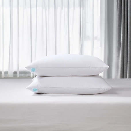 Martha Stewart Tencel/Cotton Blend Tencel-Around Feather and Down Pillows, Medium Firm, 2 pc.