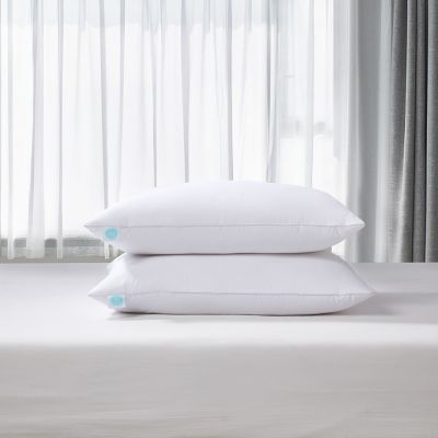 image of a Bed Pillows