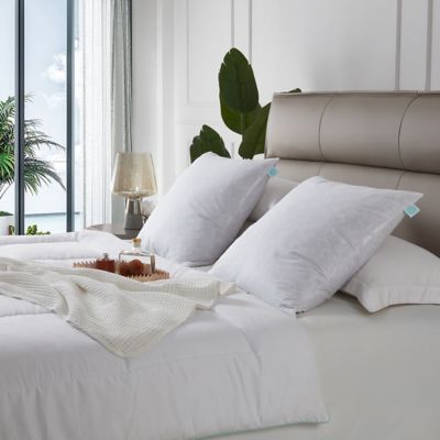 Martha Stewart Cotton Decorative Feather Pillow Inserts, Medium Firm, 233 Thread Count, 2 pc.