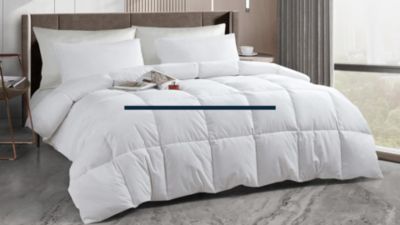 Image showing  Serta All-Season Tencel and Cotton Blend Feather and Down Comforter