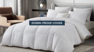 Image showing  Serta All-Season Tencel and Cotton Blend European Down Comforter