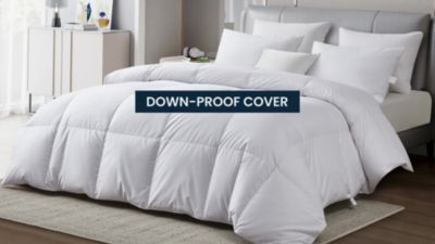 Image showing  All-Season Sateen Cotton European Goose Down Comforter