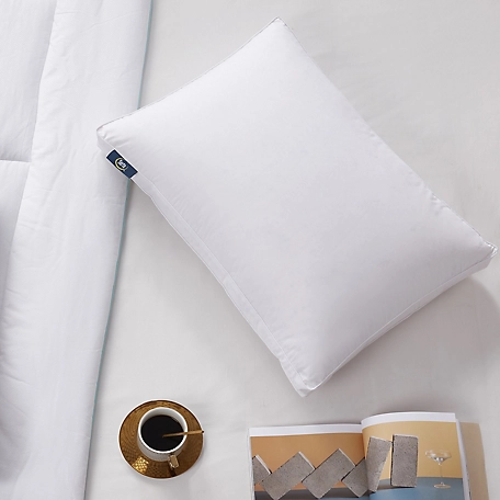 Blue Ridge Home Fashions Tencel and Cotton Blend European Down Pillows, Jumbo, Firm, 2 pc.