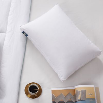 Blue Ridge Home Fashions Tencel and Cotton Blend European Down Pillows, King, Firm, 2 pc.
