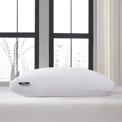 Image showing  Tencel and Cotton Blend European Down Pillows, King, Firm, 2 pc.