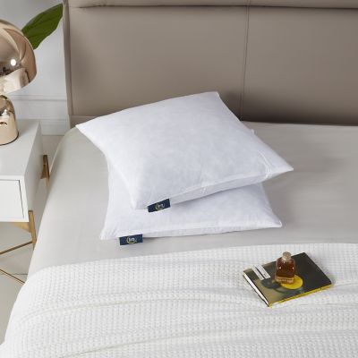 Blue Ridge Home Fashions Serta Cotton Decorative Feather Pillow Inserts, Medium Firm, 233 Thread Count, 2 pc.