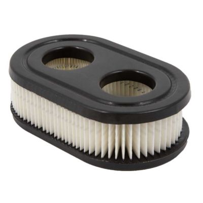 Image showing  Briggs Air Filter, 593260/5432K, Oval