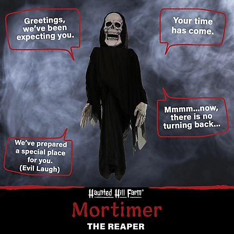 Haunted Hill Farm 10.33 ft. Mortimer Standing Reaper, Indoor/Outdoor Halloween Decoration, LED Blue Eyes