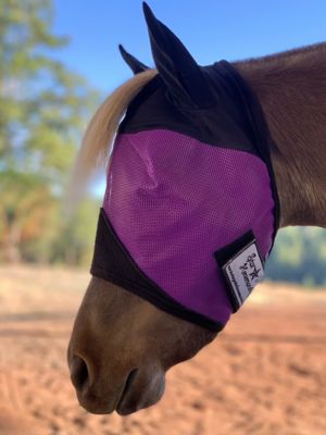 Image showing 1 th Star Point Horsemanship Miniature Horse/Pony UV Fly Mask with Ears