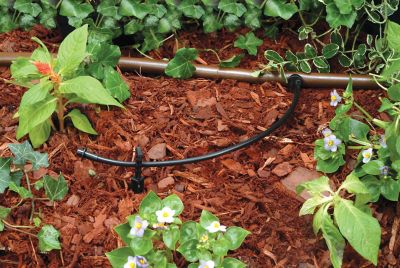 Image showing  100 ft. x 1/4 in. Drip Irrigation Distribution Tubing