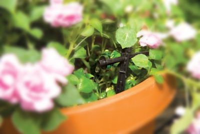 Image showing  Drip Irrigation Patio Watering Kit