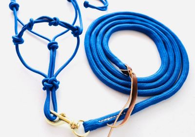 Star Point Horsemanship Miniature Horse/Pony 4-Knot Rope Halter with Lead