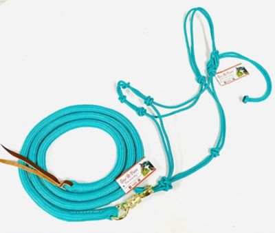 Star Point Horsemanship Average Horse 4 Knot Halter and Lead Set, Teal