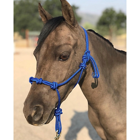 Star Point Horsemanship 4-Knot Rope Miniature Horse/Pony Halter